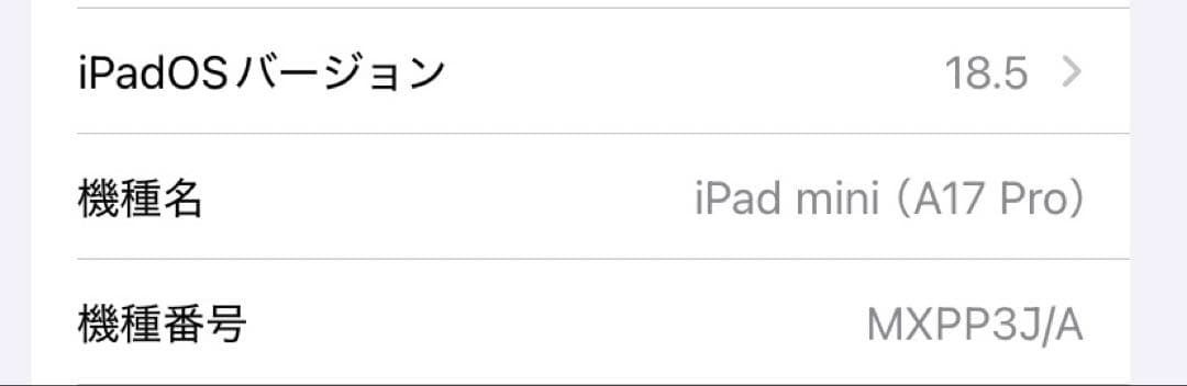 iPad mini 7 A17Pro Wi-Fi+Cellularモデル