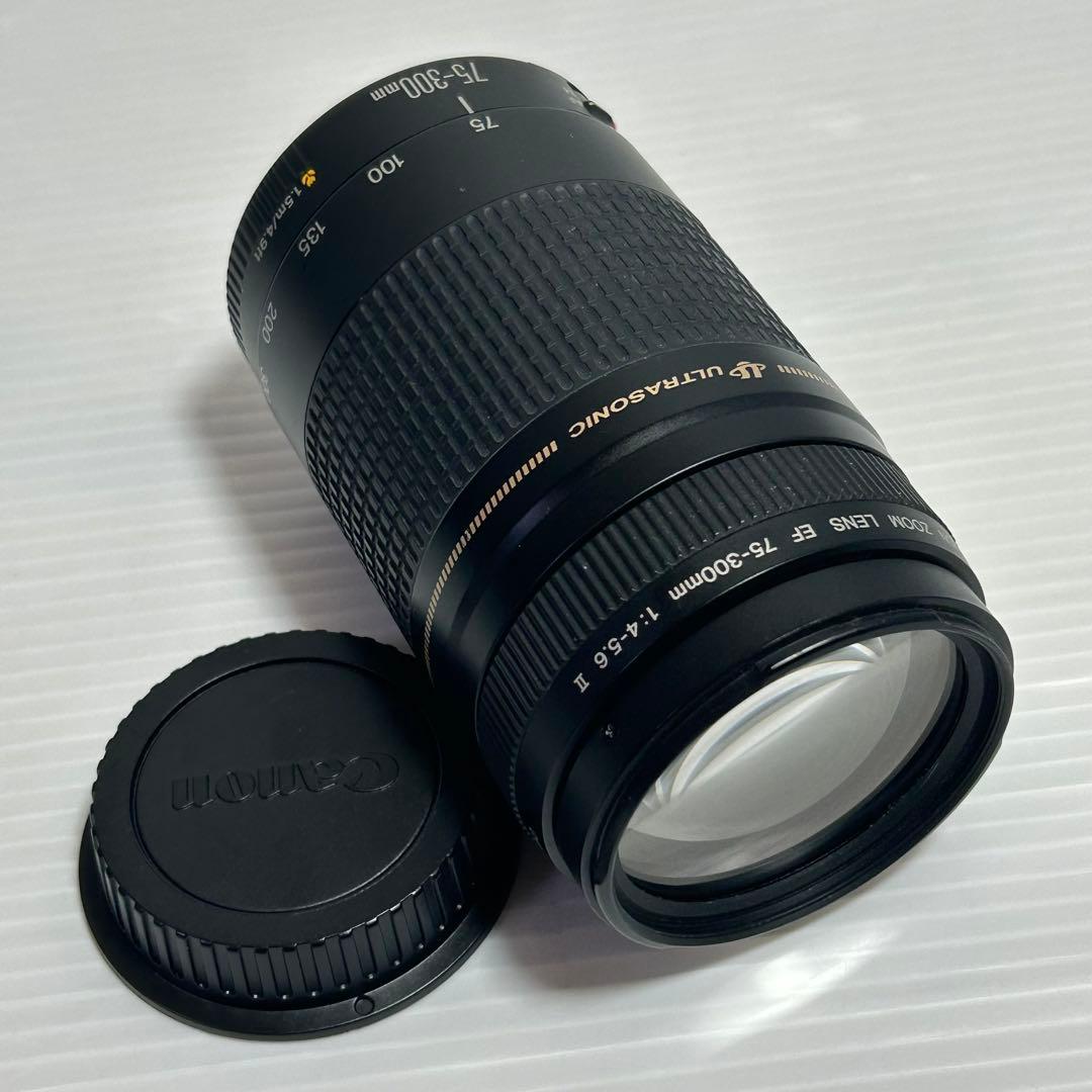 Canon　キャノン　ズームレンズ EF 75-300mm 1:4-5.6