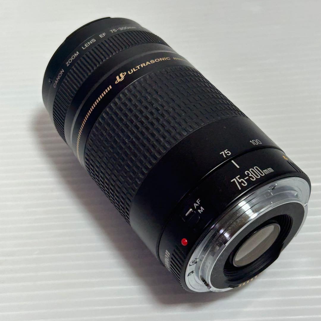 Canon　キャノン　ズームレンズ EF 75-300mm 1:4-5.6