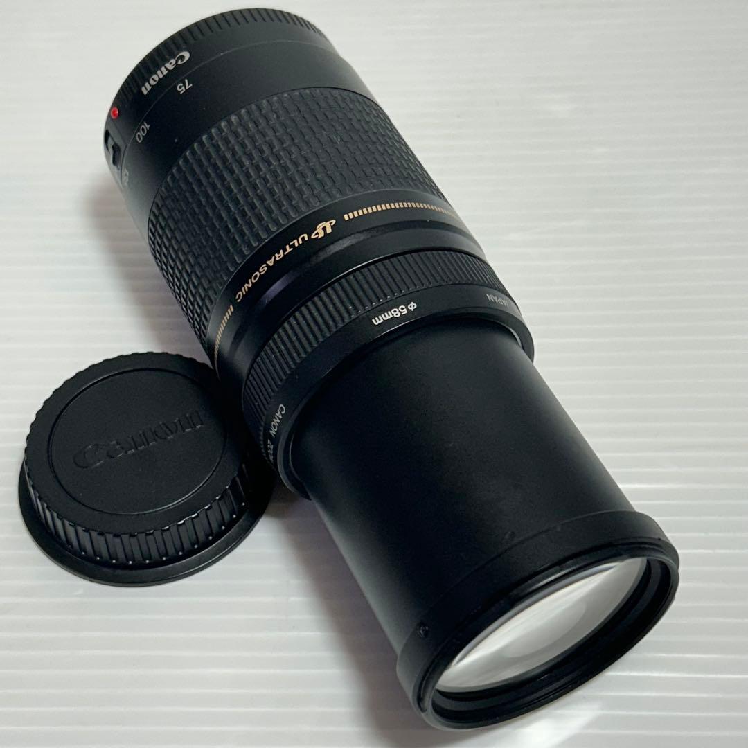 Canon　キャノン　ズームレンズ EF 75-300mm 1:4-5.6