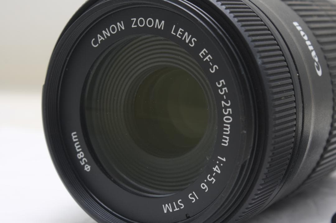 キヤノン EF-S 55-250mm F4-5.6 IS STM 1382