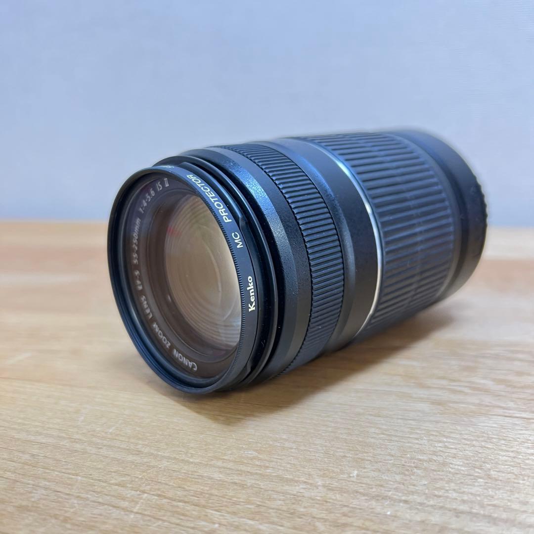キャノン　レンズ　efs55-250mm