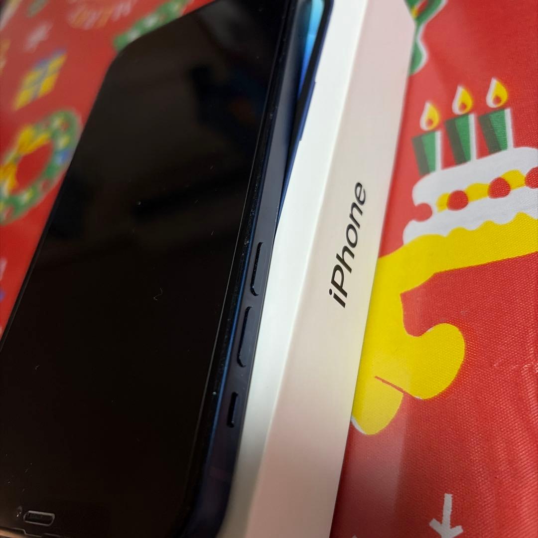 Apple iPhone 12 ブルー 本体 充電ケーブル付き　中古