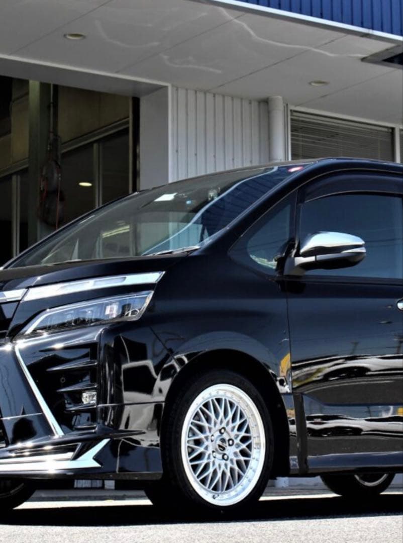 シュタイナー　FTX サテンシルバー　リムポリッシュ　18インチ　メッシュ