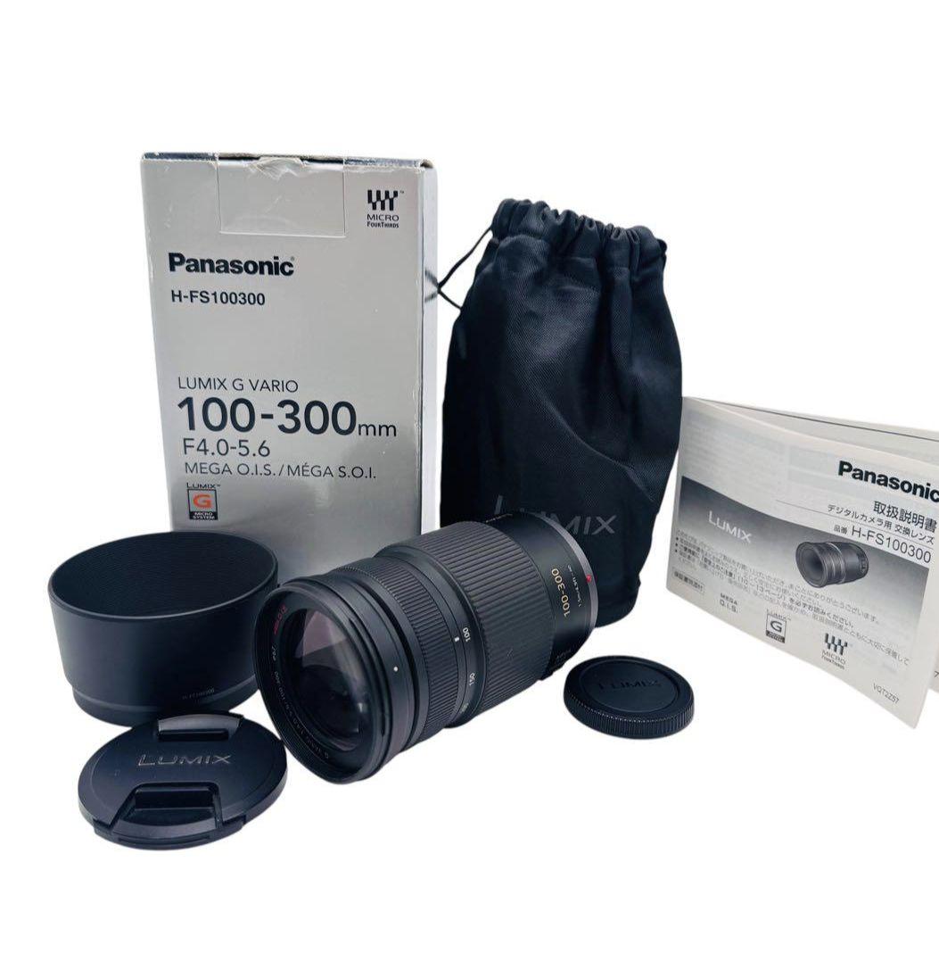 【美品】Panasonic LUMIX G 100-300mm F4.0-5.6