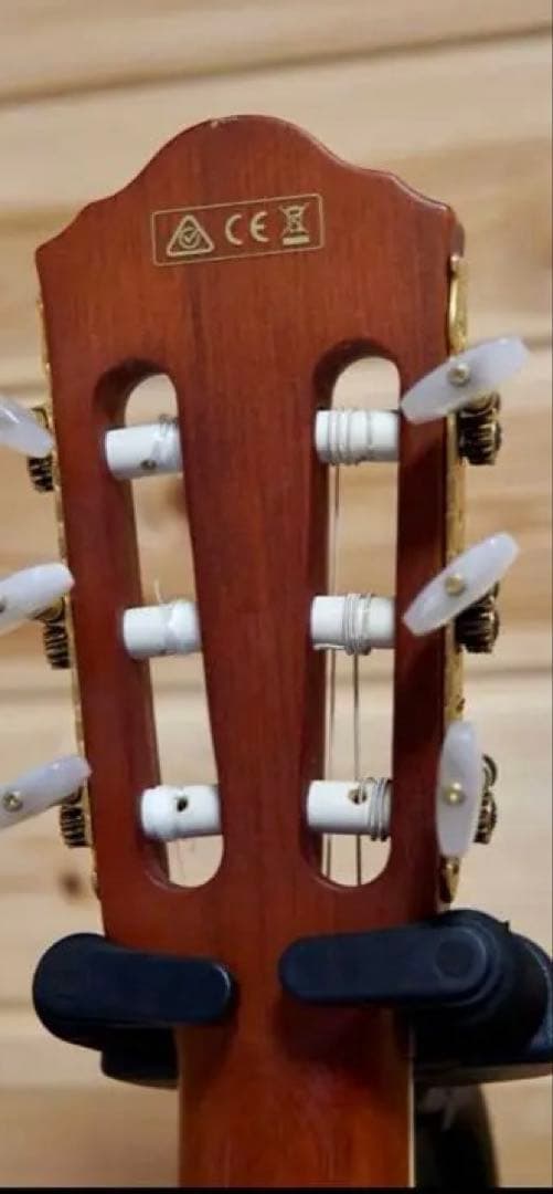 ハードケース付 Ibanez アイバニーズ AEG10NII-TNG エレガット