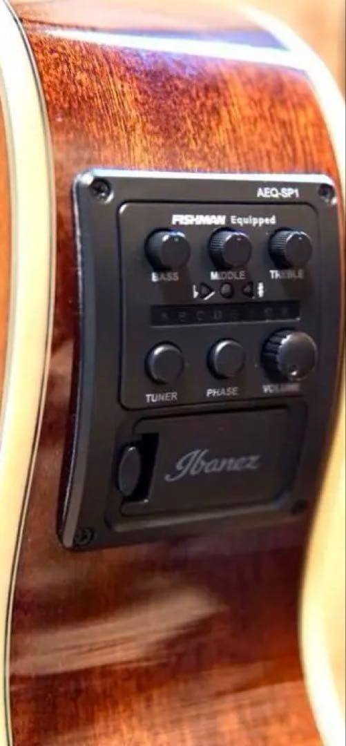 ハードケース付 Ibanez アイバニーズ AEG10NII-TNG エレガット