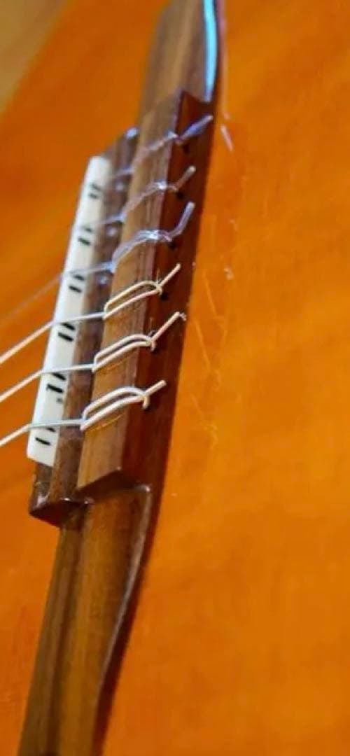 ハードケース付 Ibanez アイバニーズ AEG10NII-TNG エレガット