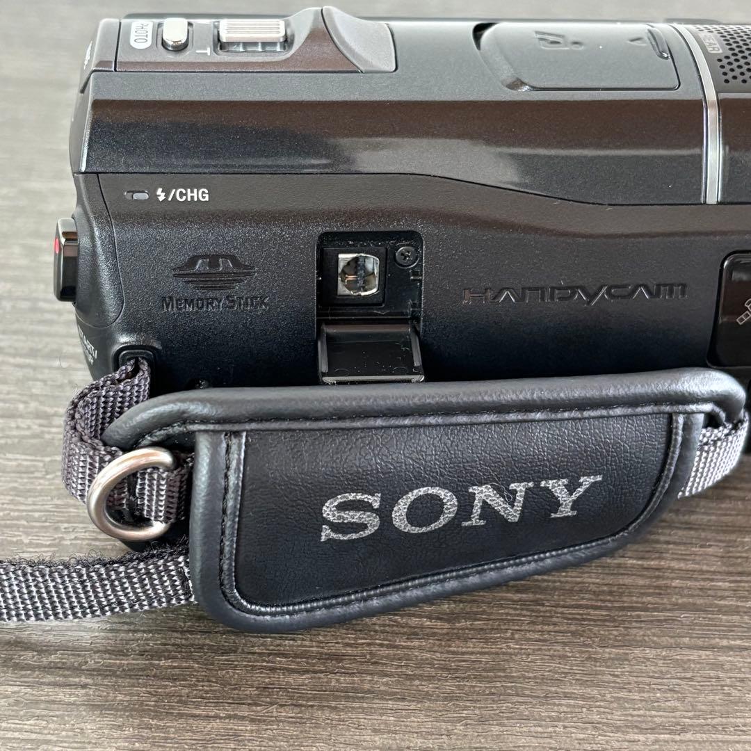 SONY HDR-CX520Vデジタルビデオカメラ おすすめアクセサリーキット付