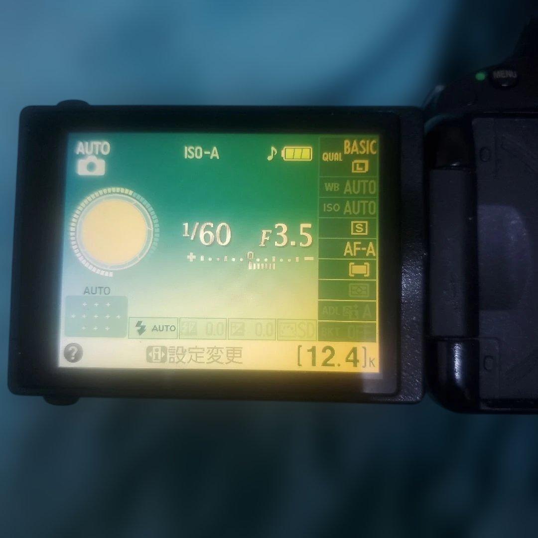 Nikon D5100 訳あり