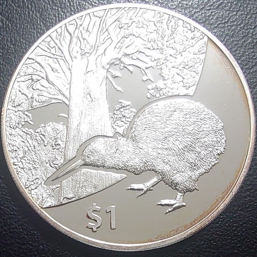 2013年 ニュージーランド銀貨 1ドル キーウィ銀貨 SV999 純銀1オンス