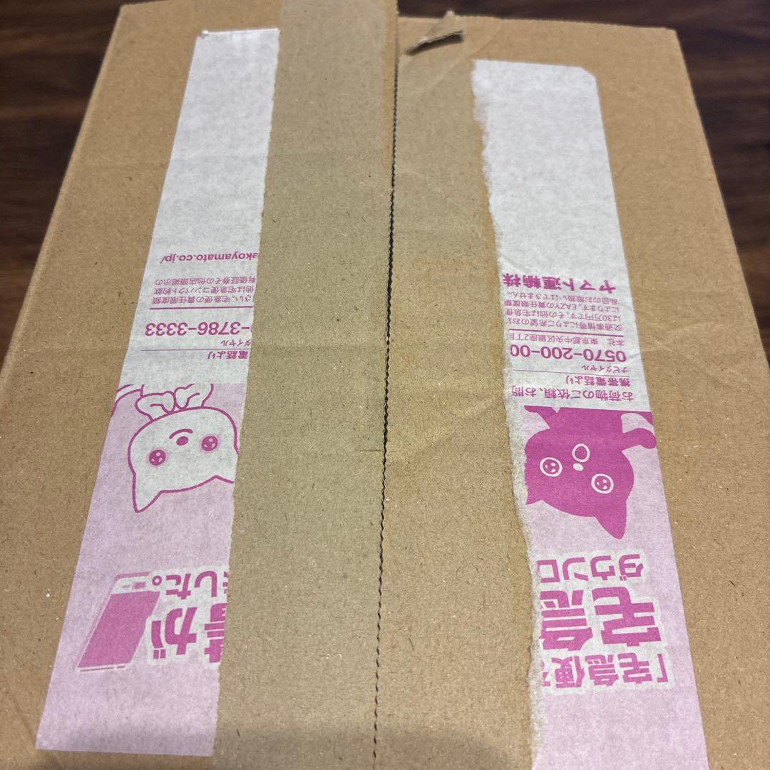 ワールドチャンピオンシップス2023 YOKOHAMA Deck cピカチュウ