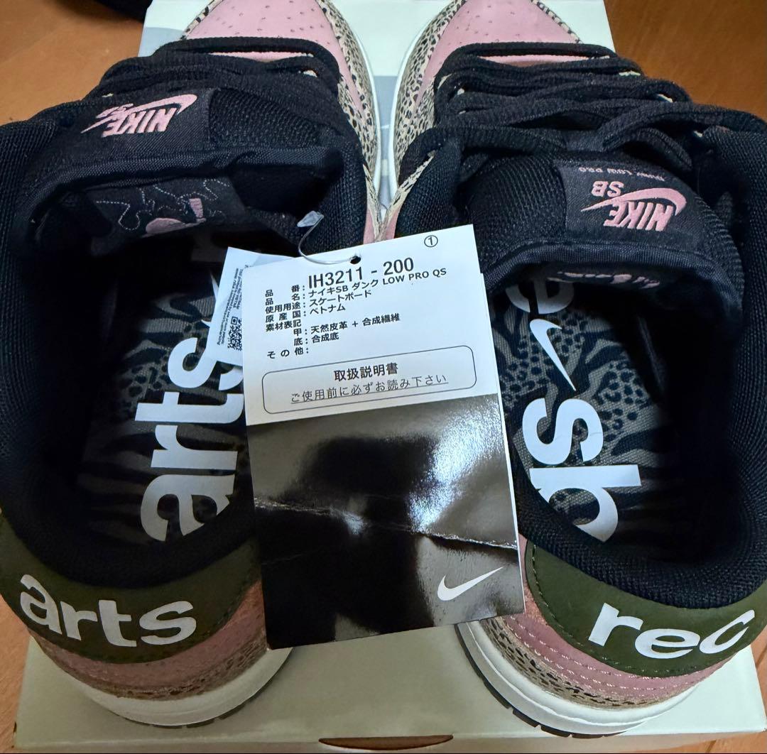 Arts Rec × Nike SB Dunk Low Pro 27.5
