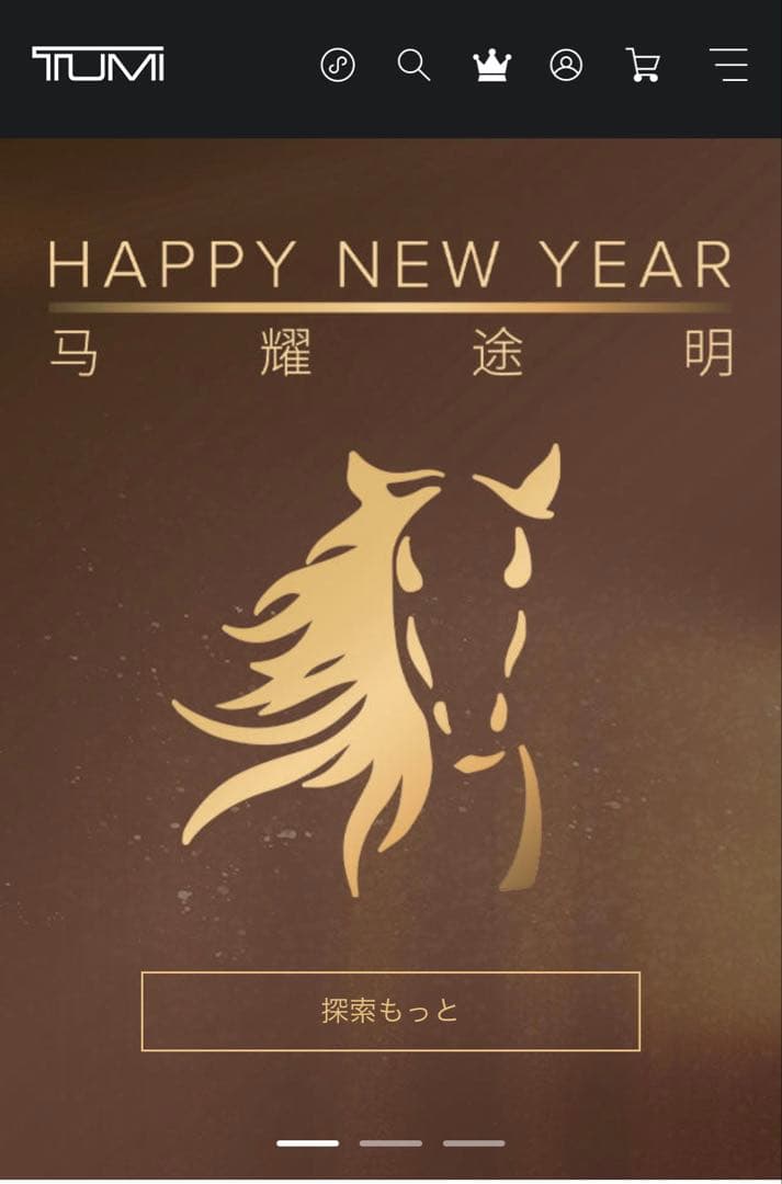 未使用　タグ付き　TUMI ALPHA3 コンパクト・スリング ボディバッグ