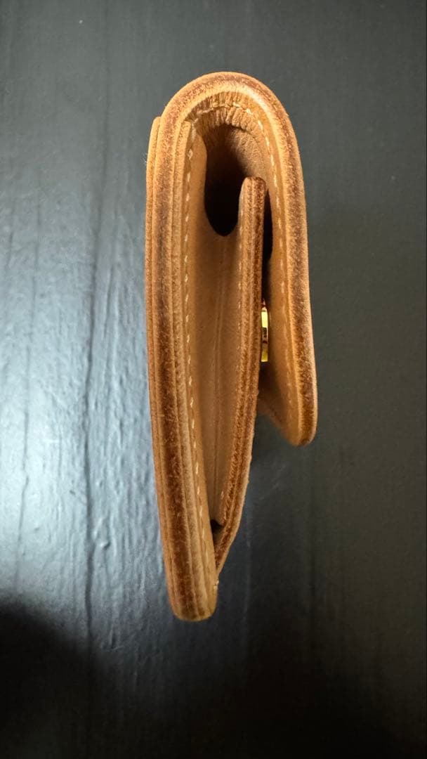 メ*郎様 ワイルドスワンズ　タング　サドルプルアップ　おまけ付き！