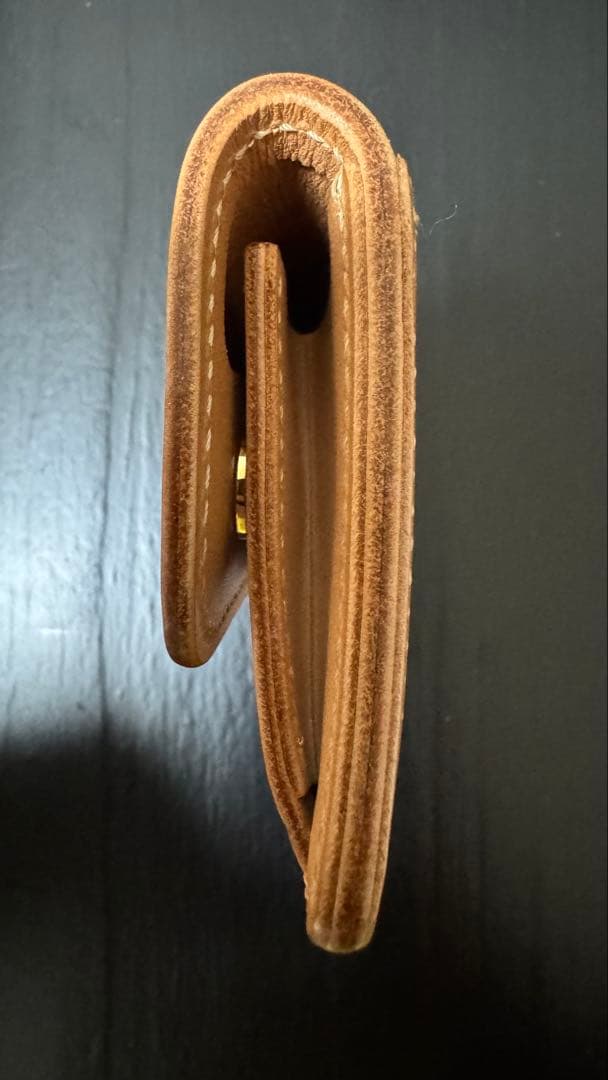 メ*郎様 ワイルドスワンズ　タング　サドルプルアップ　おまけ付き！