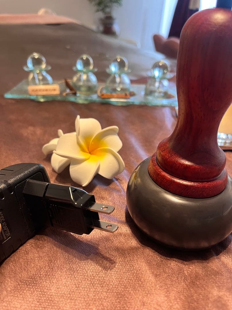 【今週末特価】ベン石温熱器ホットストーンセラピー日本、海外使えるコンセント付