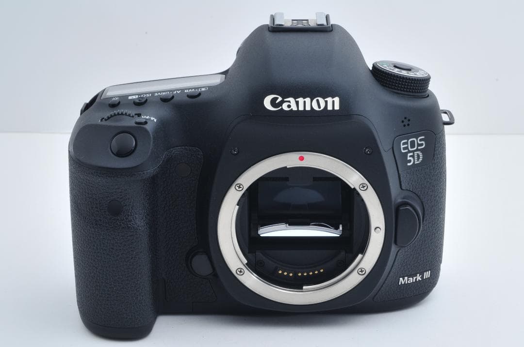 キャノン Canon Canon 5D Mark III ≪6400ショット≫