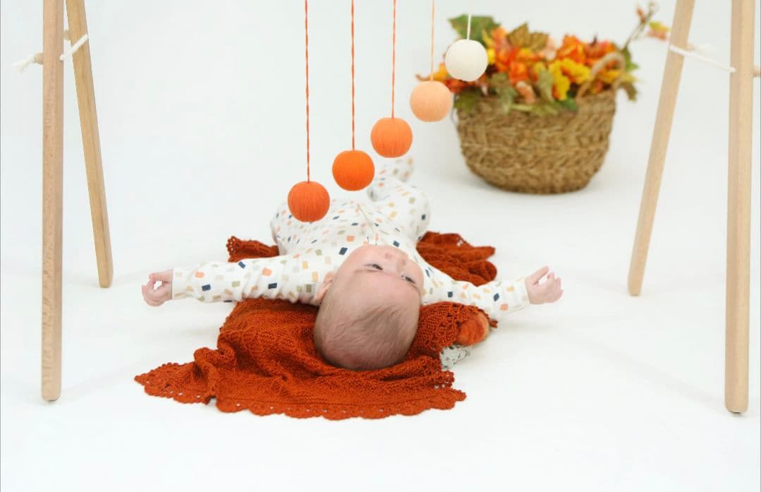 モンテッソーリモビール 13ピースセット