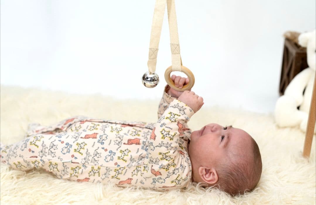 モンテッソーリモビール 13ピースセット