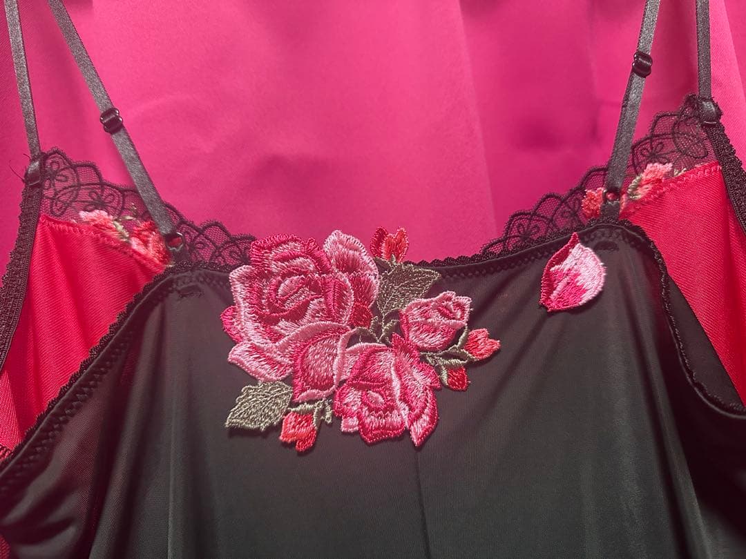 Wacoal サルート パキータ スリップ 壇蜜さん着用