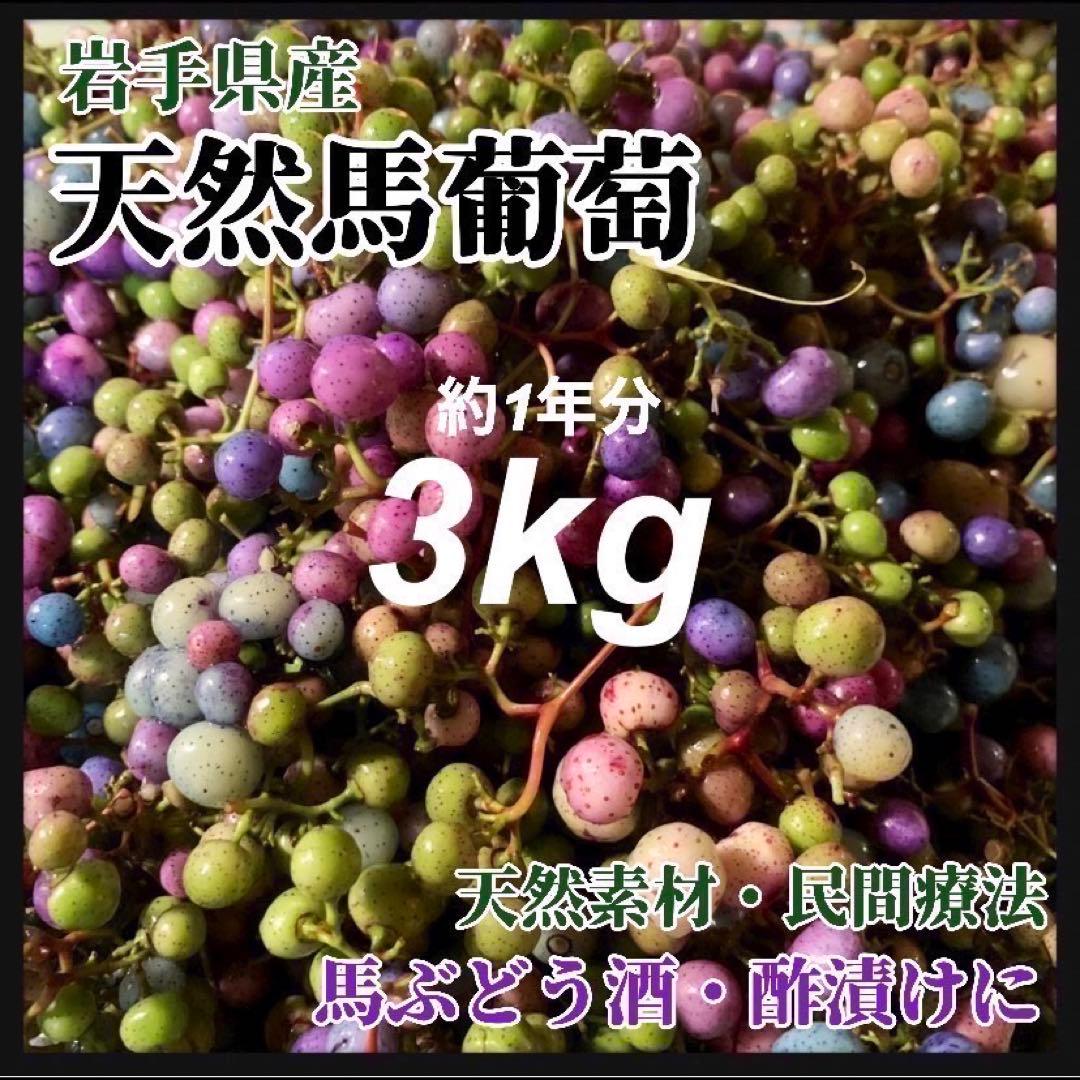 【大容量】馬ぶどう250g×12袋　1年分3kg うまぶどう　薬膳　民間療法