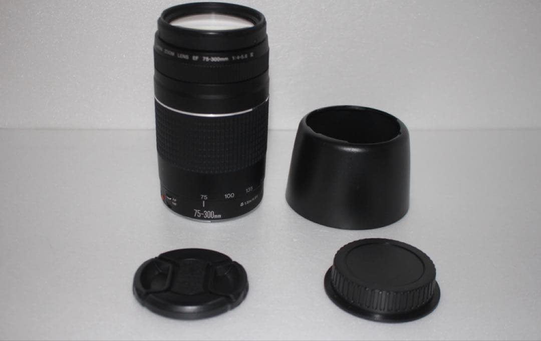望遠レンズ/スポーツ/イベント等/Canon EF75-300㎜1:4-5.6Ⅲ