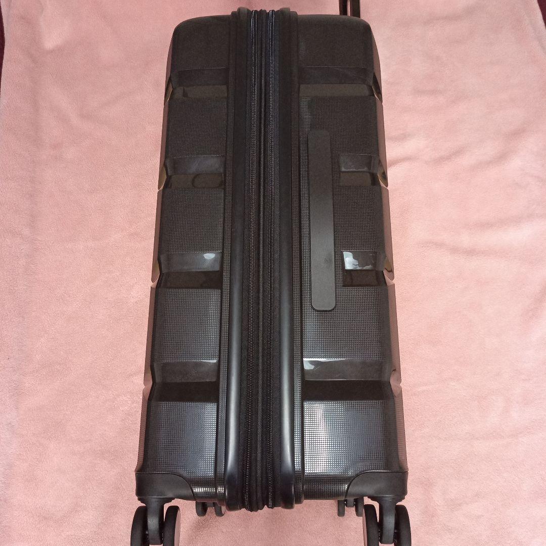 RIMINI リミニ キャリー スーツ ケース ナクシオンFR 70L ace.