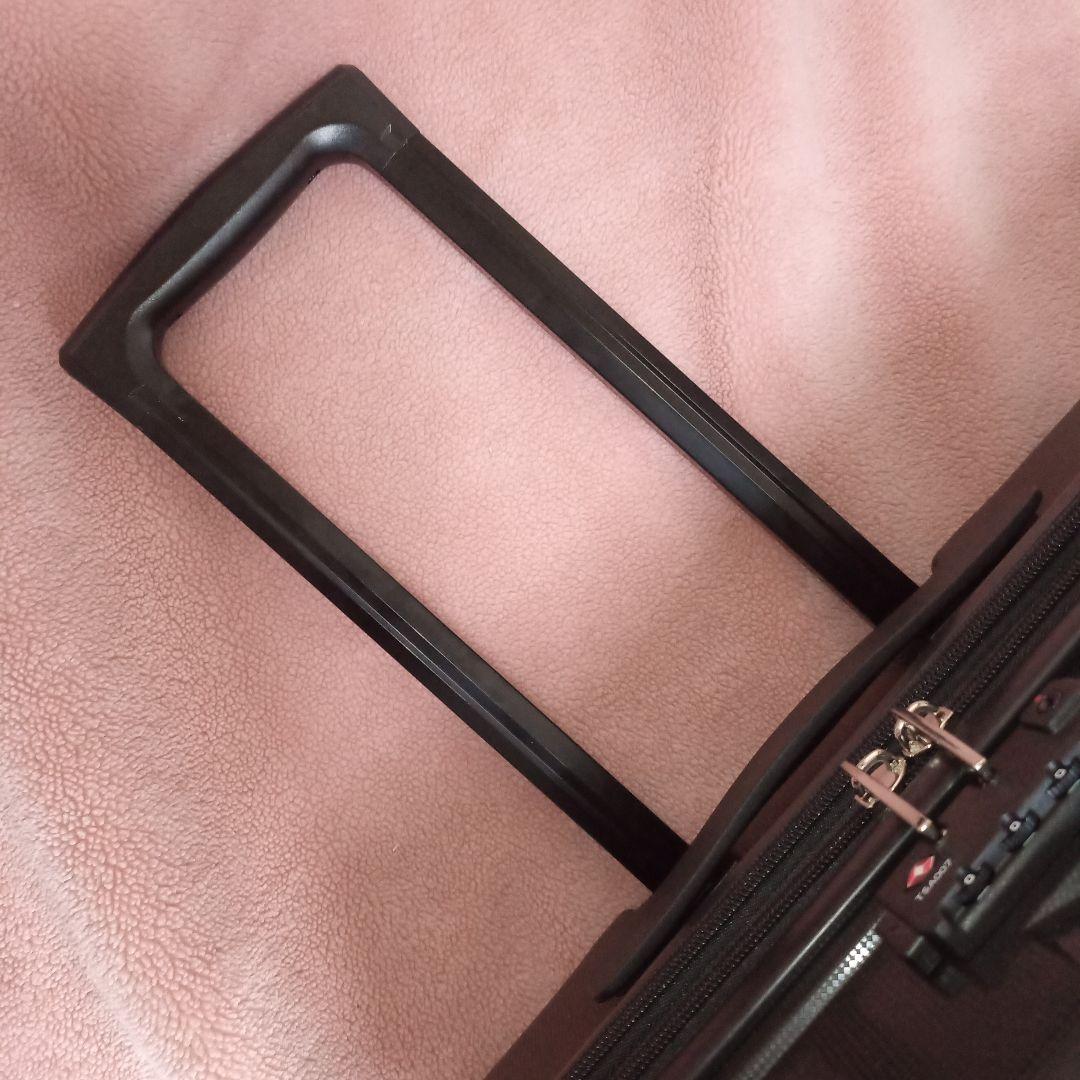 RIMINI リミニ キャリー スーツ ケース ナクシオンFR 70L ace.