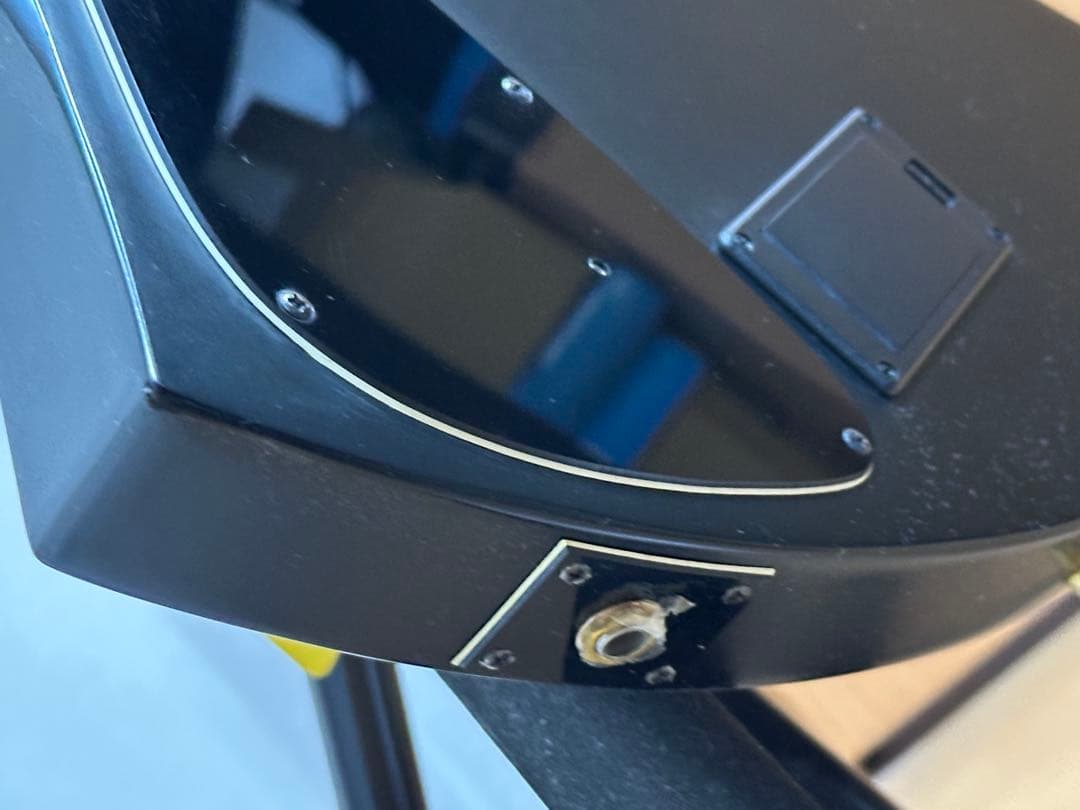 B*i様 FERNANDES フェルナンデス　Burny mg-125s 後期