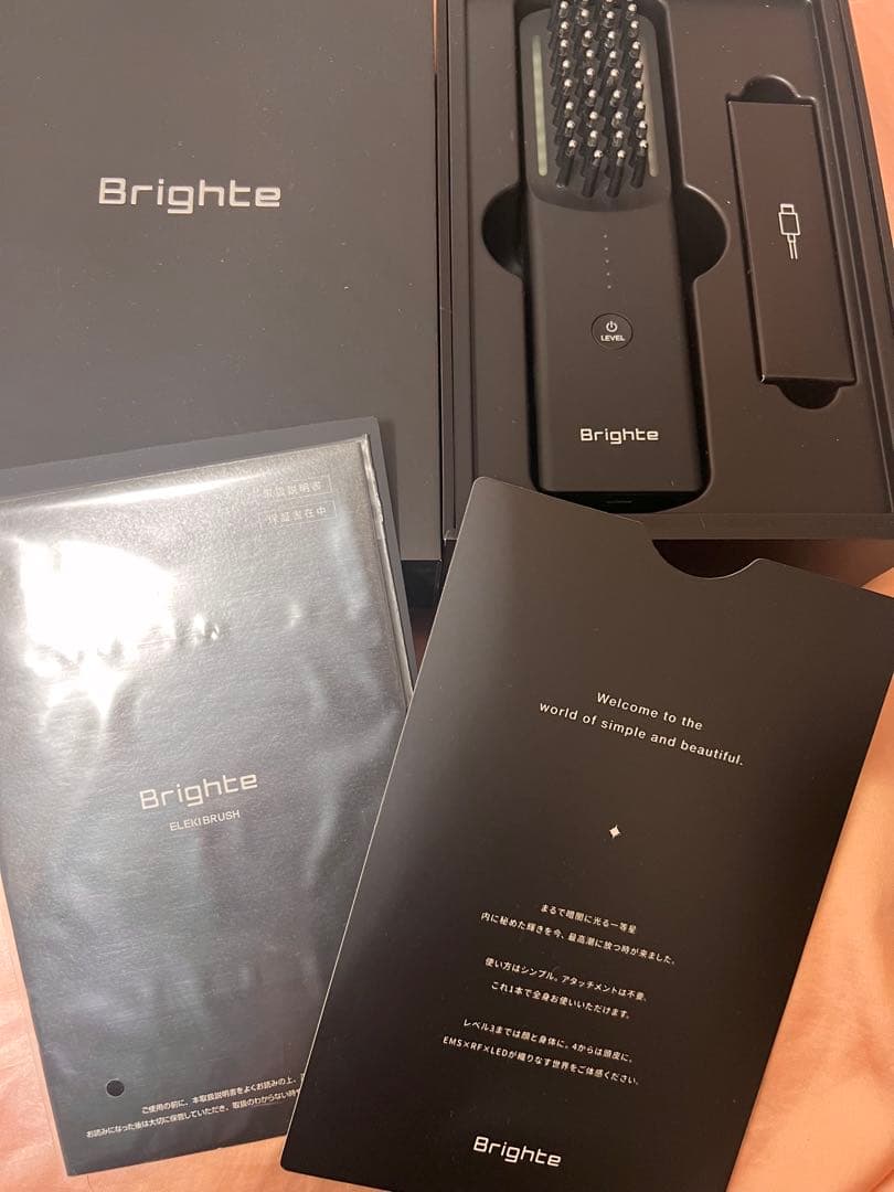 佐々木希 Brighte LED美顔器 ブラシ型
