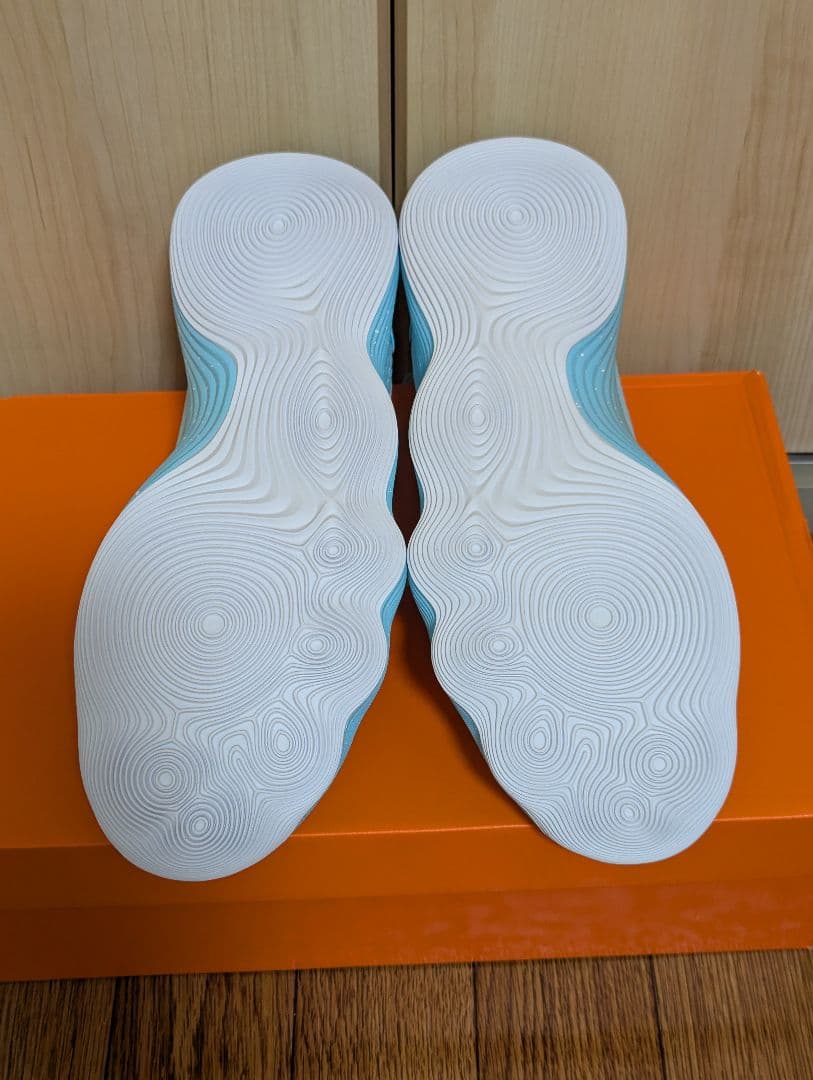 ハイパーダンク 2017 low EP 27.5cm