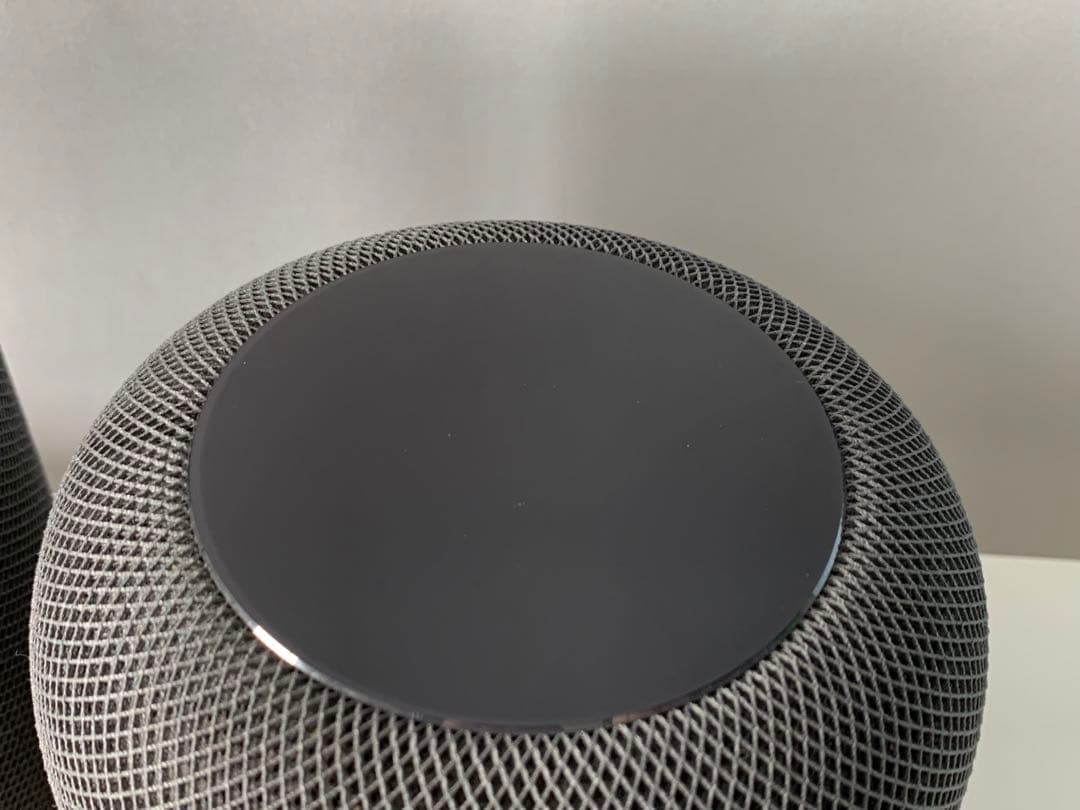 Pod (第1世代) スペースグレイ 2台セット