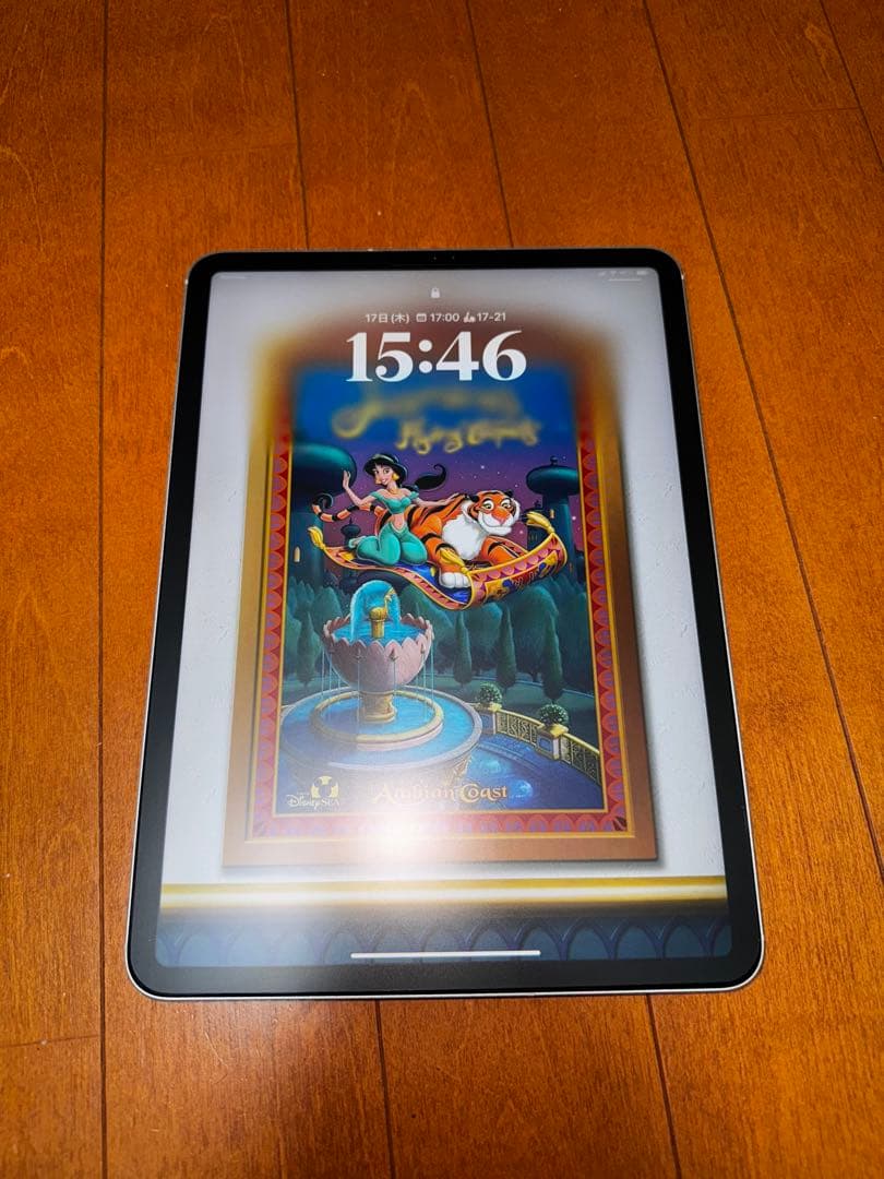 iPad Pro 11 第一世代 64GB Cellular SIMフリー