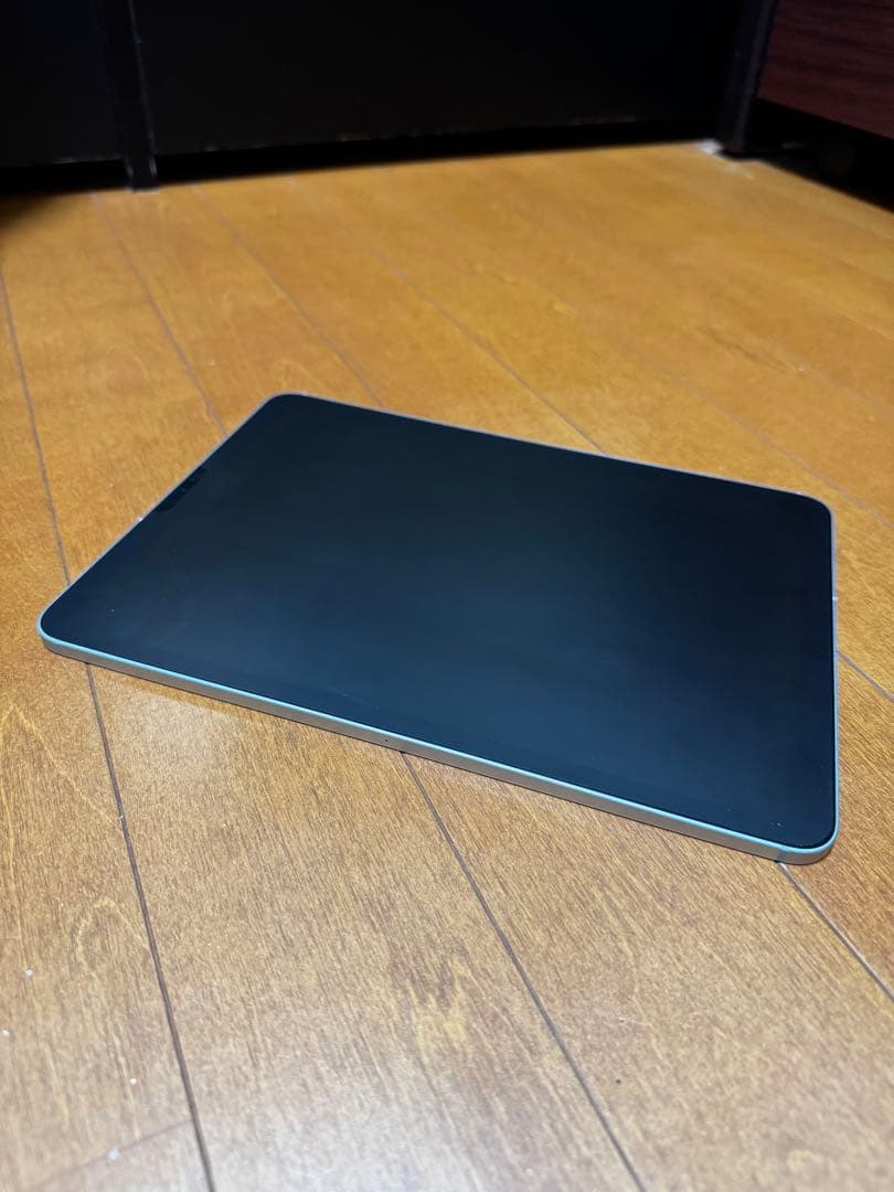 iPad Pro 11 第一世代 64GB Cellular SIMフリー