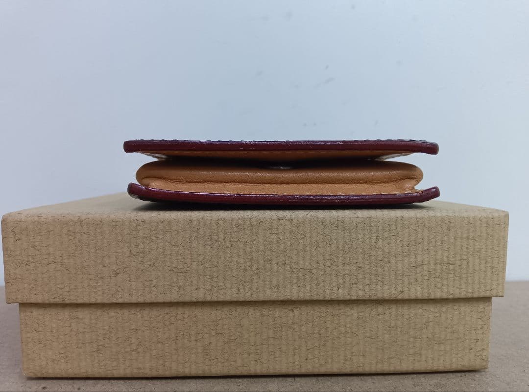 ガンゾ　コードバン　ケース