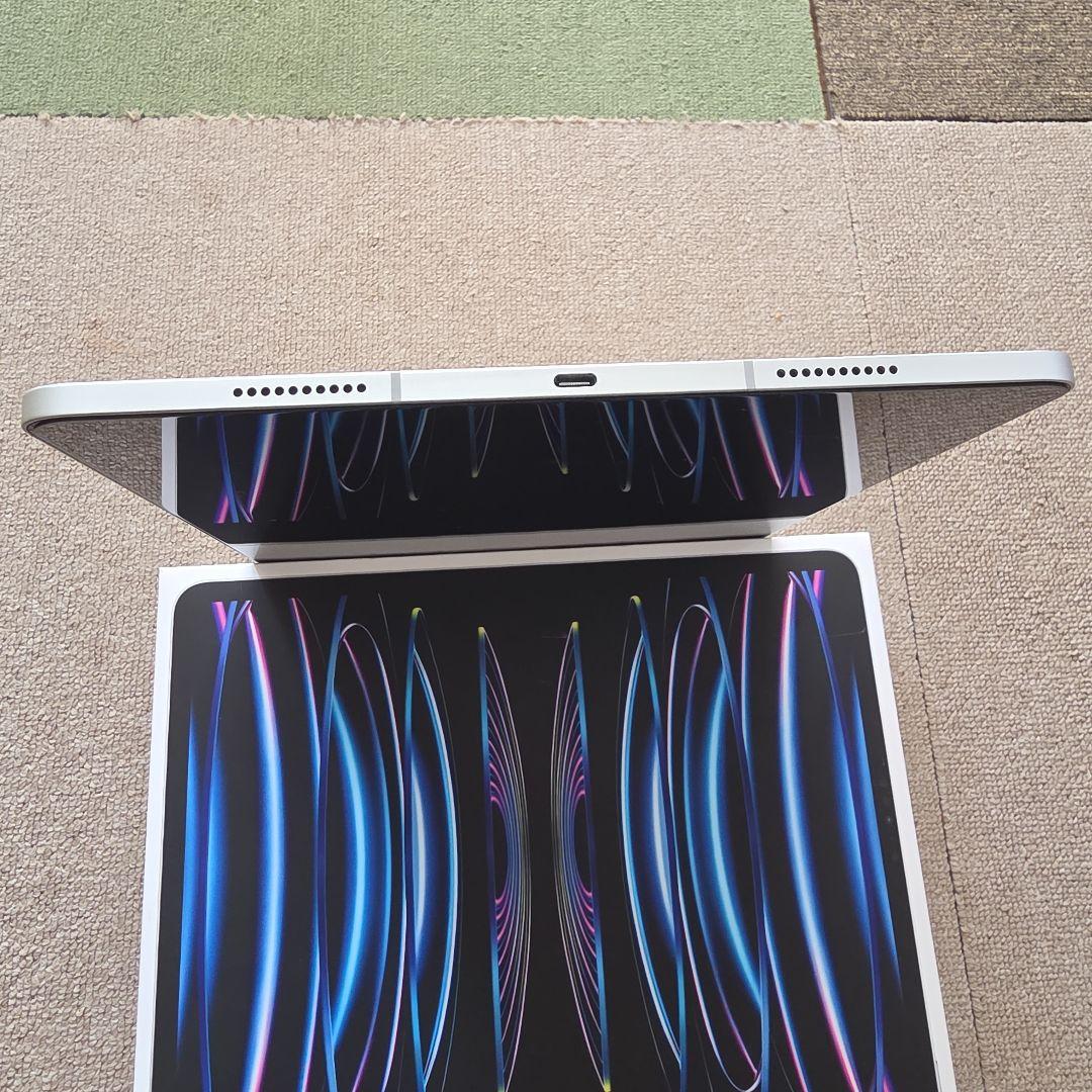 iPad本体 iPad Pro 12.9 (M2) 256GB cellular Pencil