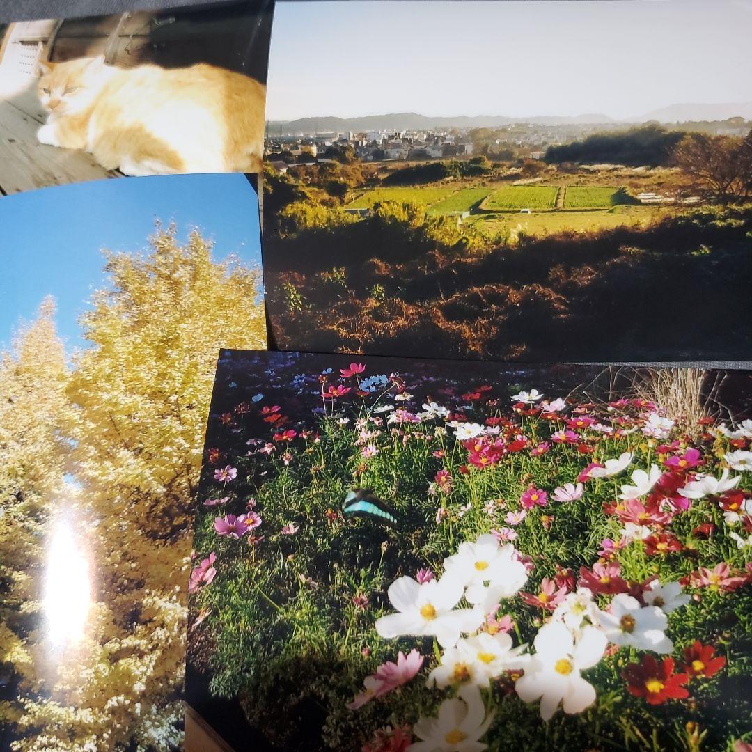 RICOH　リコー　GR1s