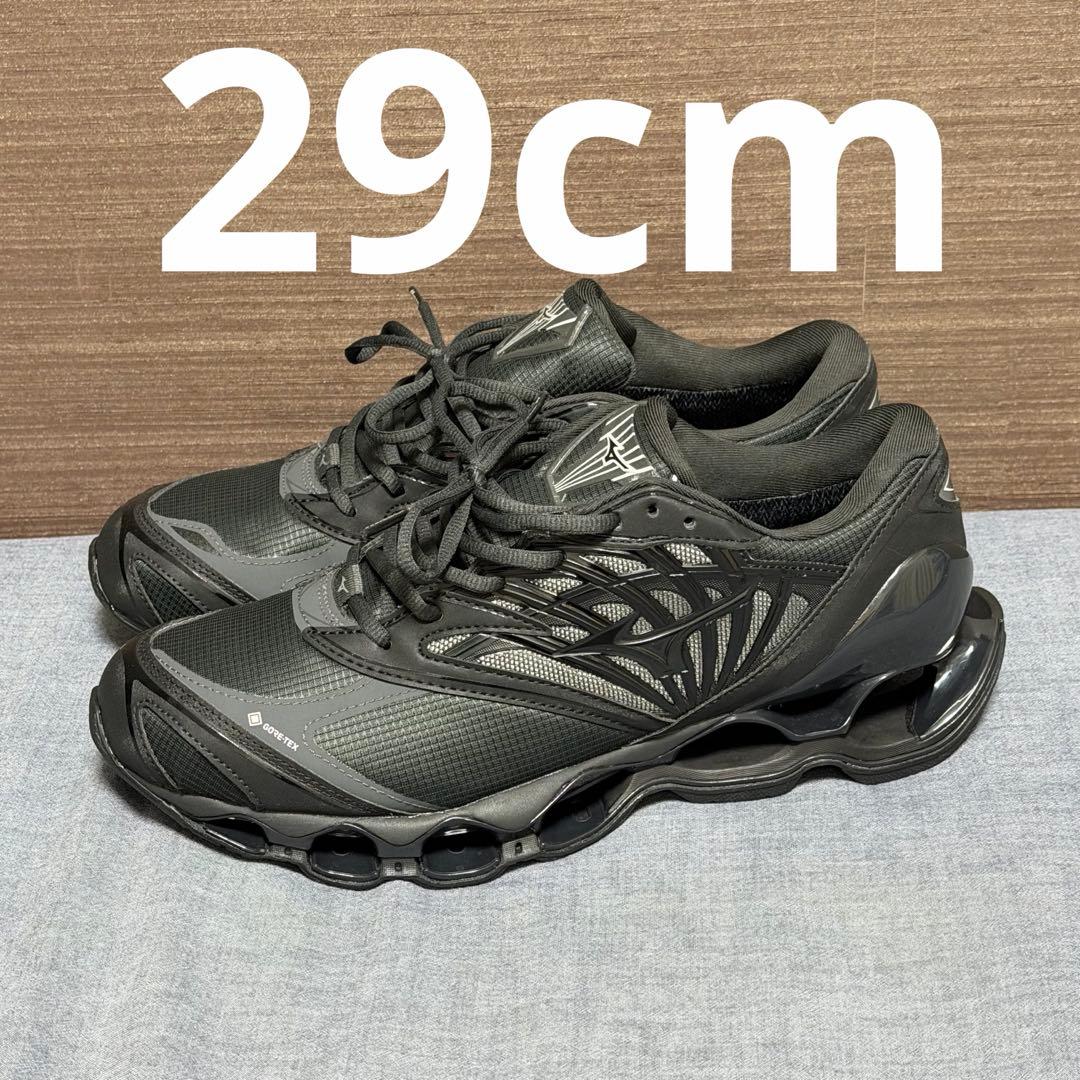 MIZUNO　WAVE PROPHECY LS GTX 29cm