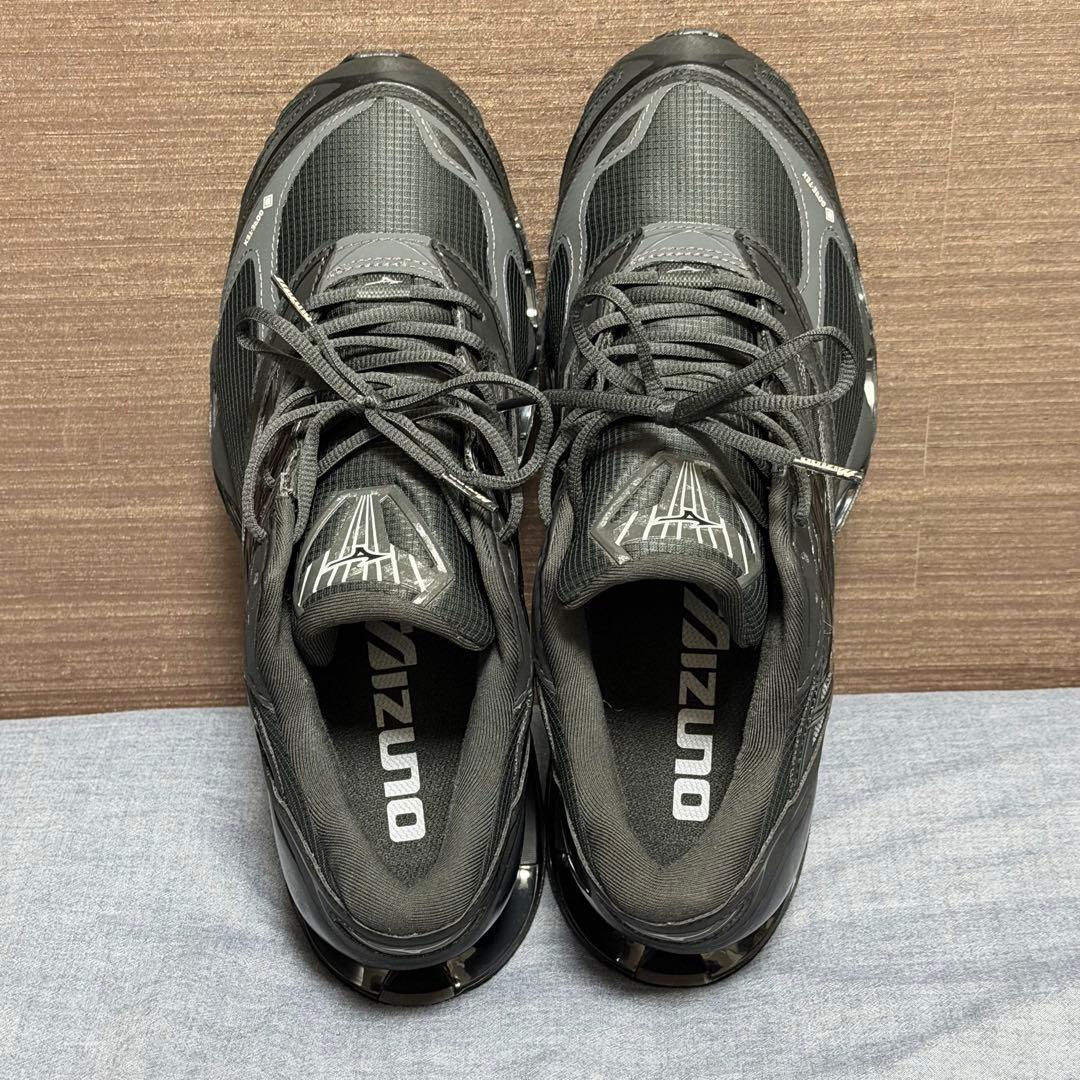 MIZUNO　WAVE PROPHECY LS GTX 29cm