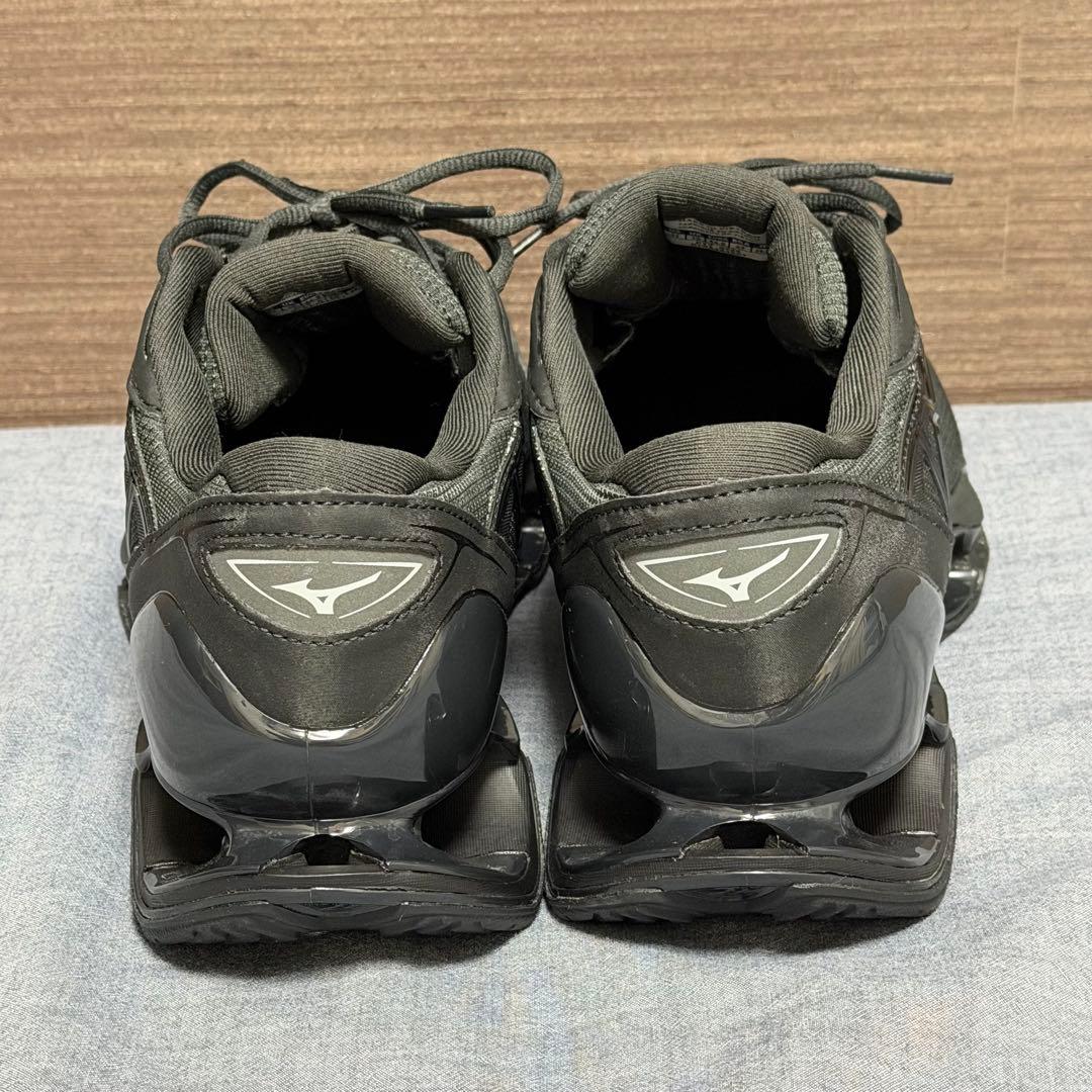 MIZUNO　WAVE PROPHECY LS GTX 29cm