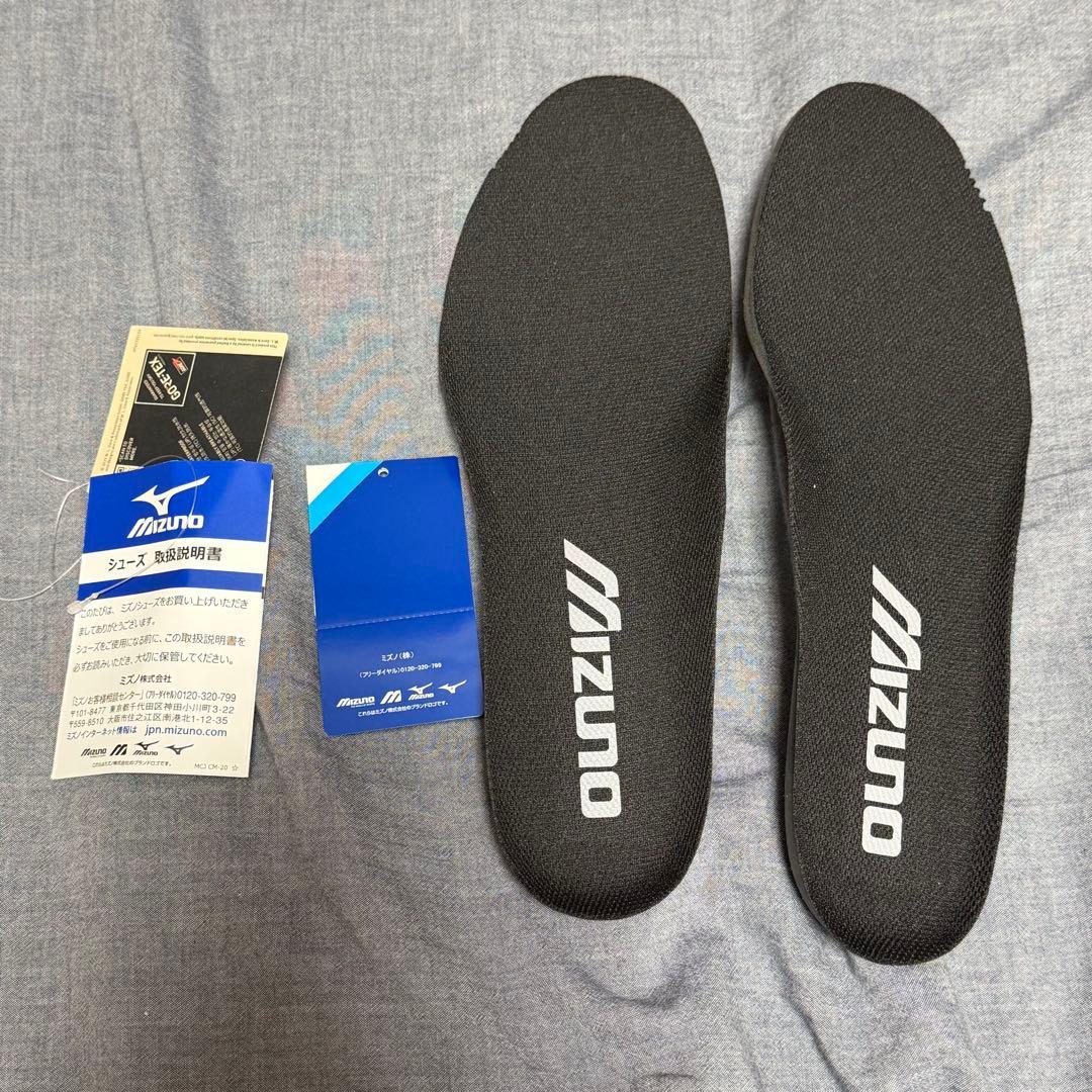 MIZUNO　WAVE PROPHECY LS GTX 29cm