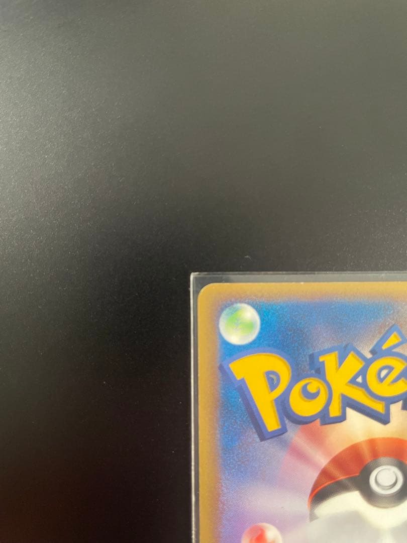 ハ*ス様 ポケパークのピカチュウ 004/009