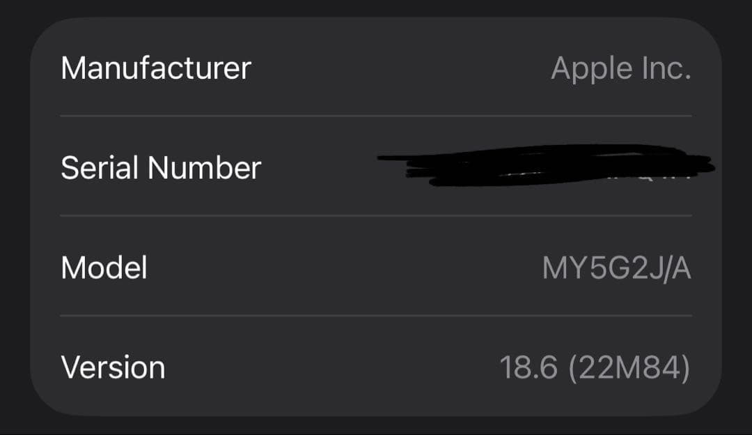 Apple Pod Mini スペースグレイ
