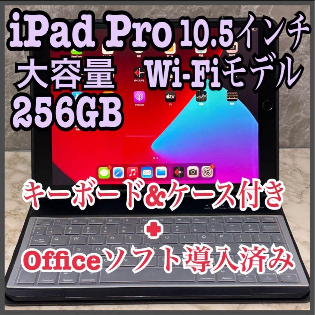 【美品】iPad Pro 10.5インチ256GB Wi-Fiモデル