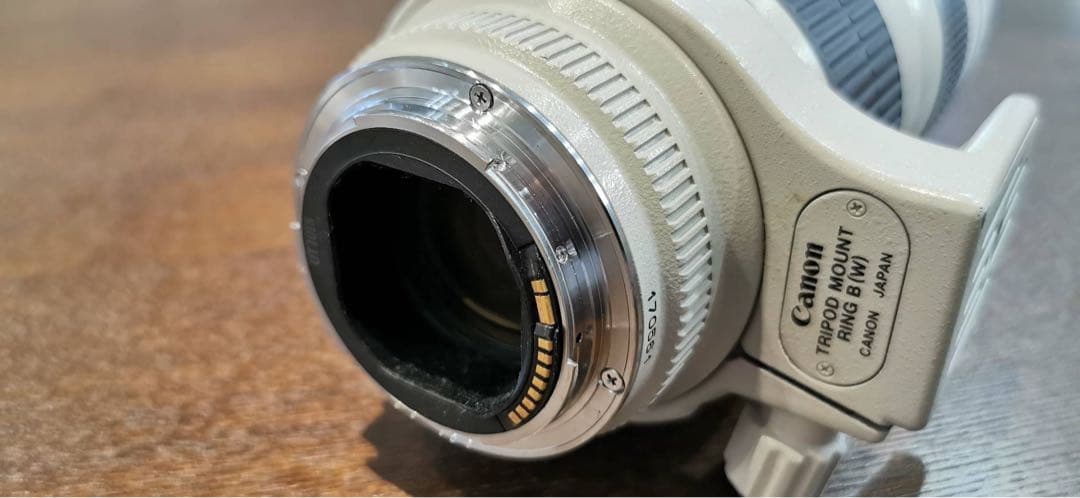 キャノン　Lレンズ　EF70-200mm F2.8L