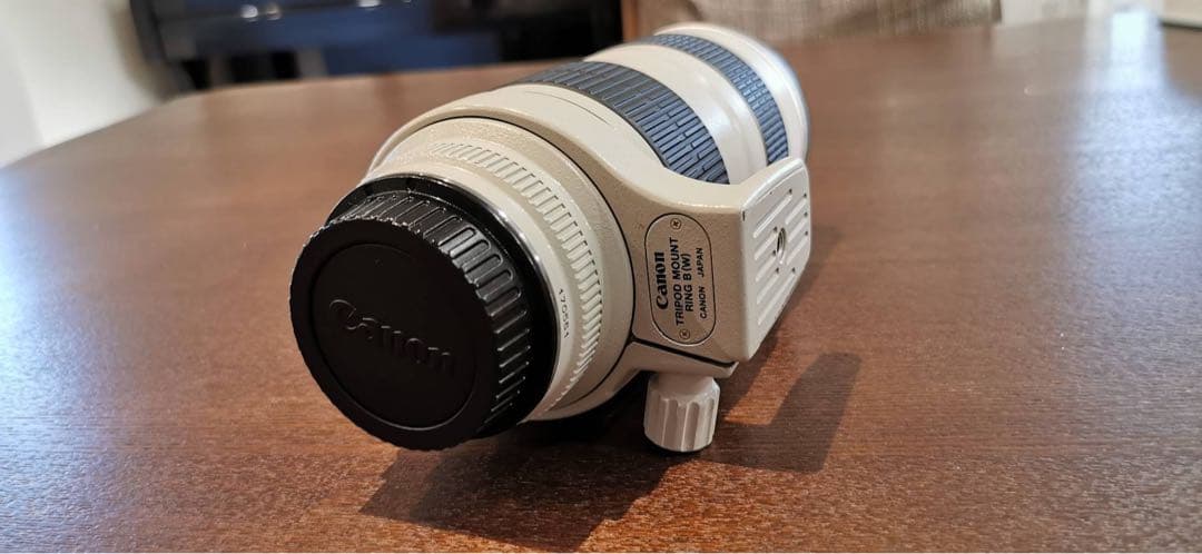 キャノン　Lレンズ　EF70-200mm F2.8L