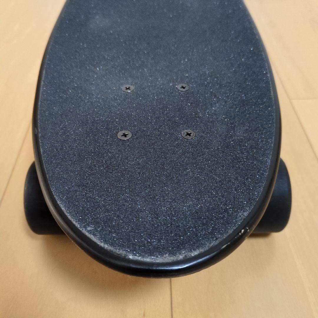 Z-FLEX CRUISER 29inch 　FESN　スケートボード