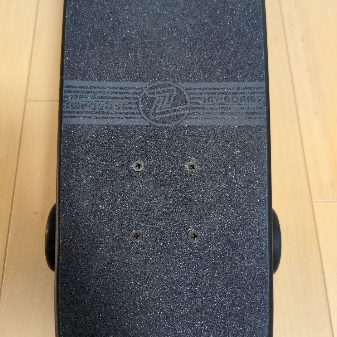 Z-FLEX CRUISER 29inch 　FESN　スケートボード