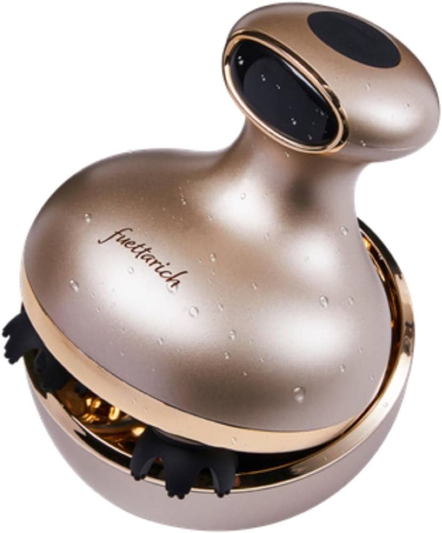 フエッタリッチ　スカルプヘッドスパ fuettarich